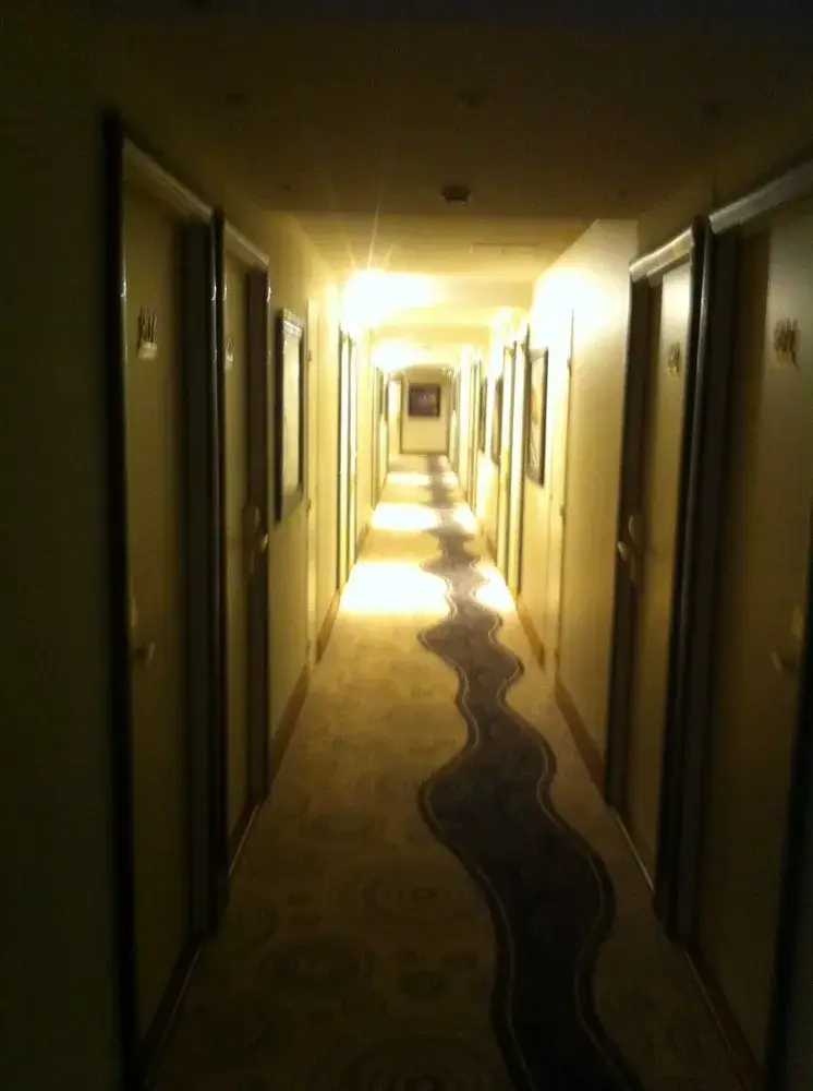 rénovation-intérieure-hotel-elixir (3)