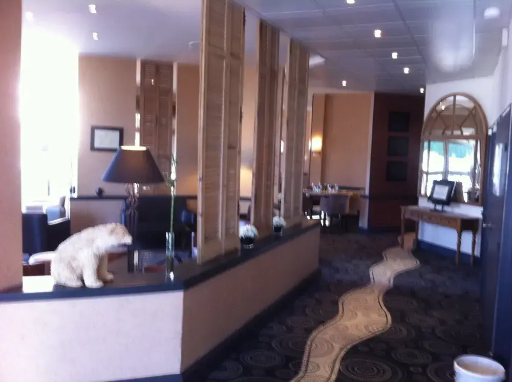 rénovation-intérieure-hotel-elixir (8)